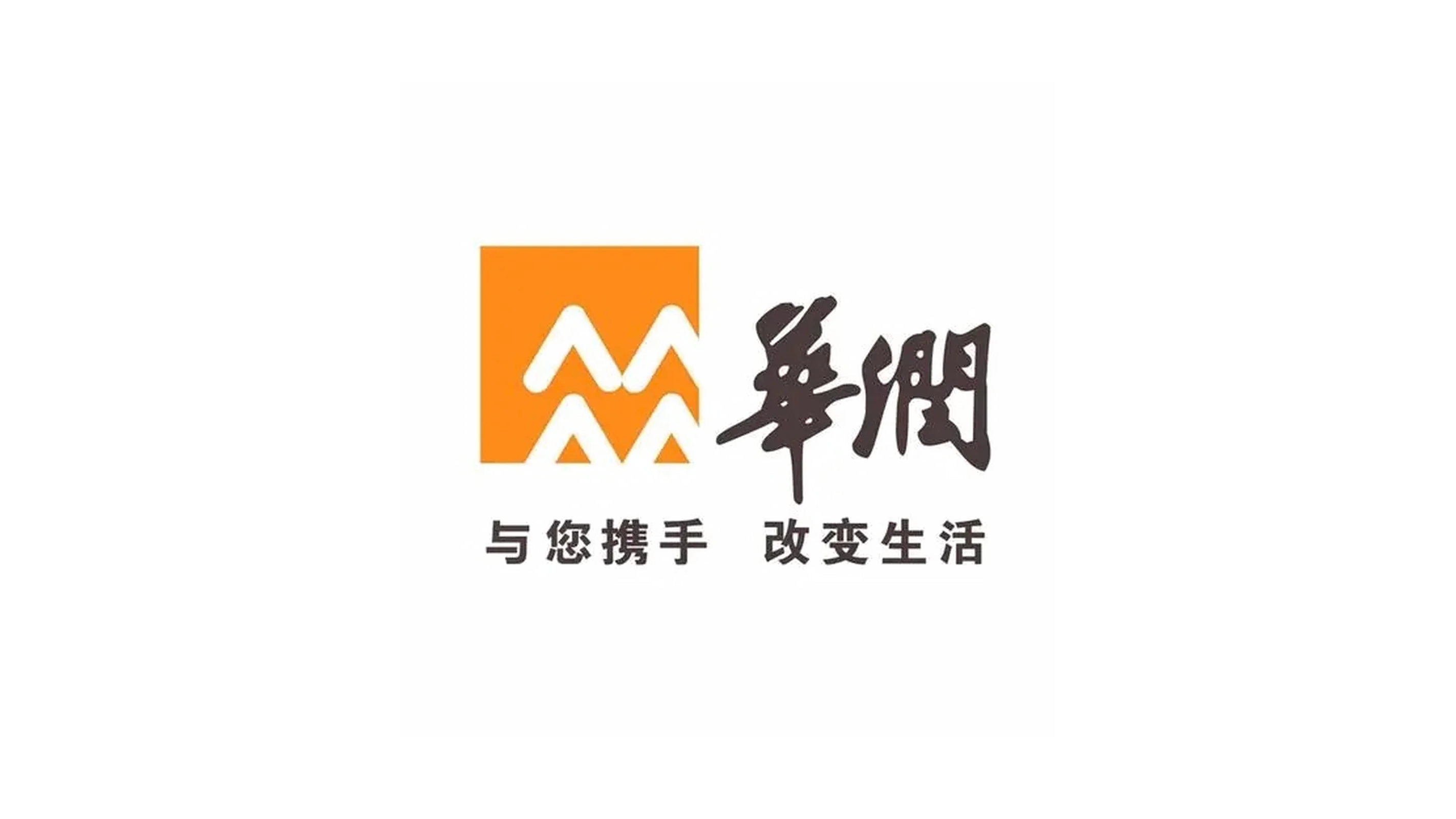 伙伴 12