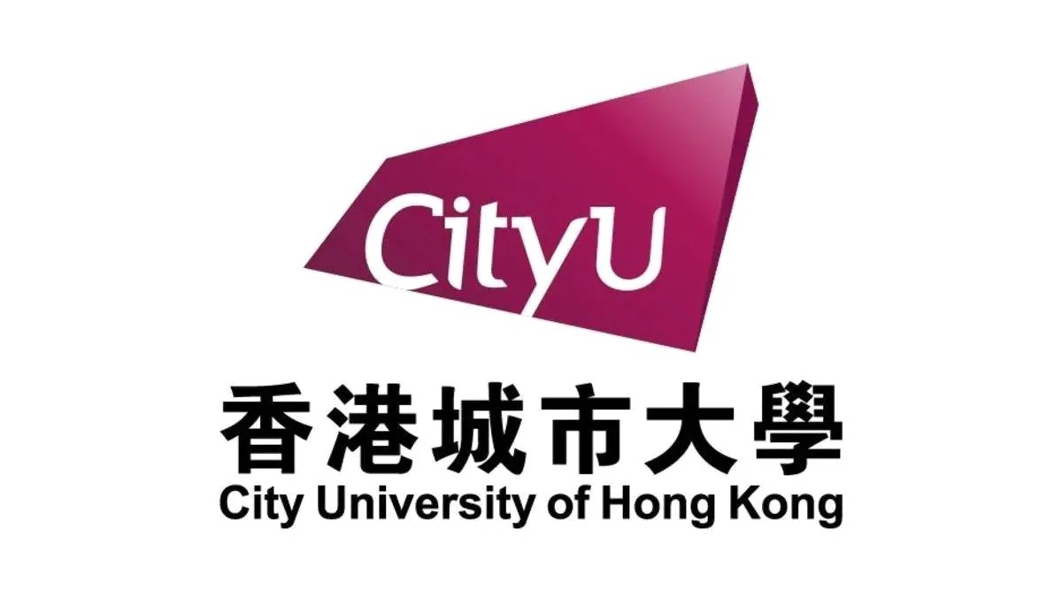 伙伴 18