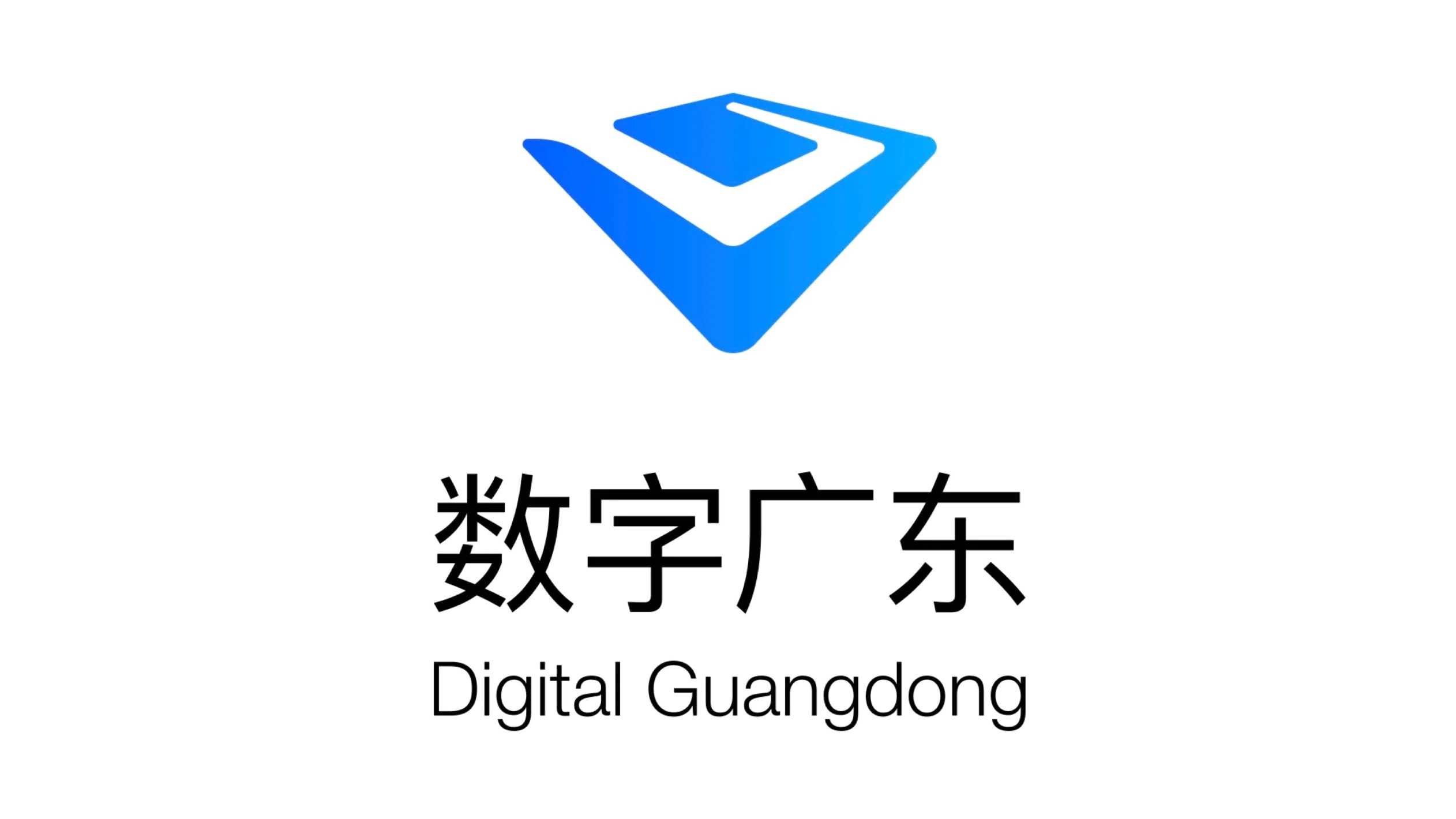 伙伴 38