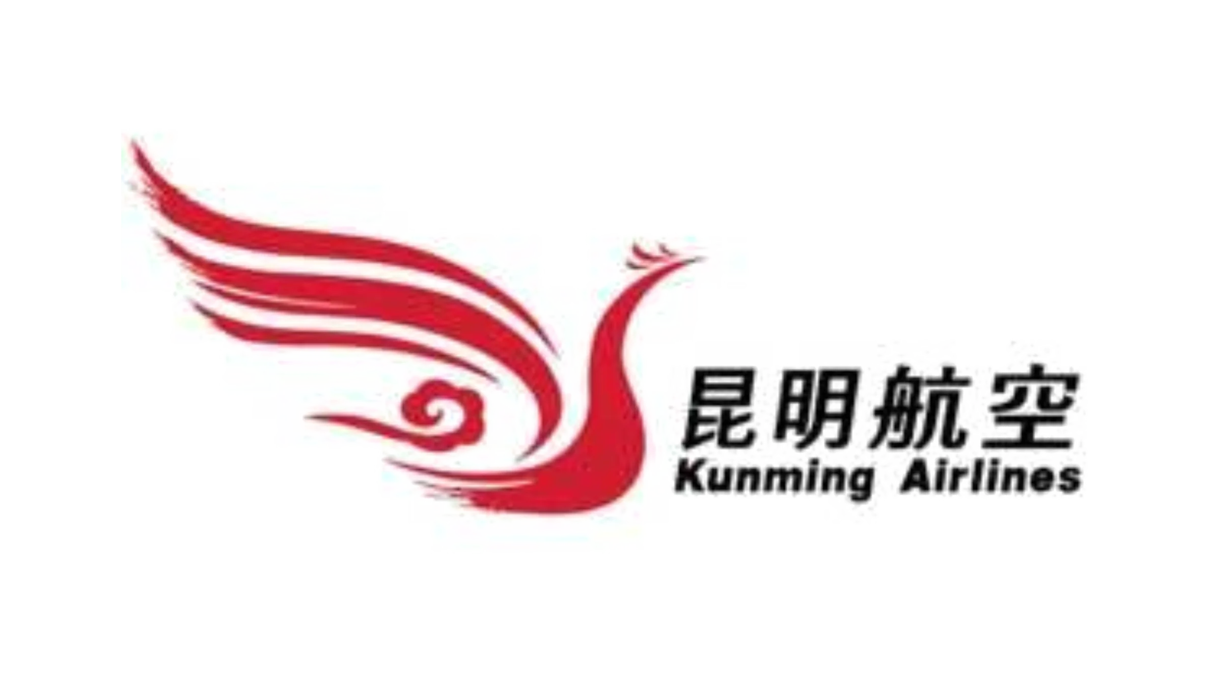 伙伴 09